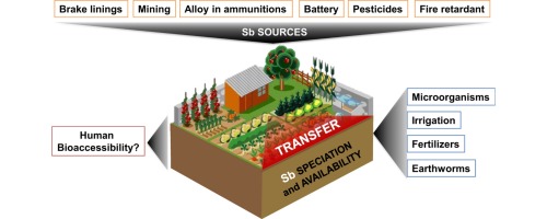 Antimony bioavailability : knowledge and research perspectives for sustainable agricultures