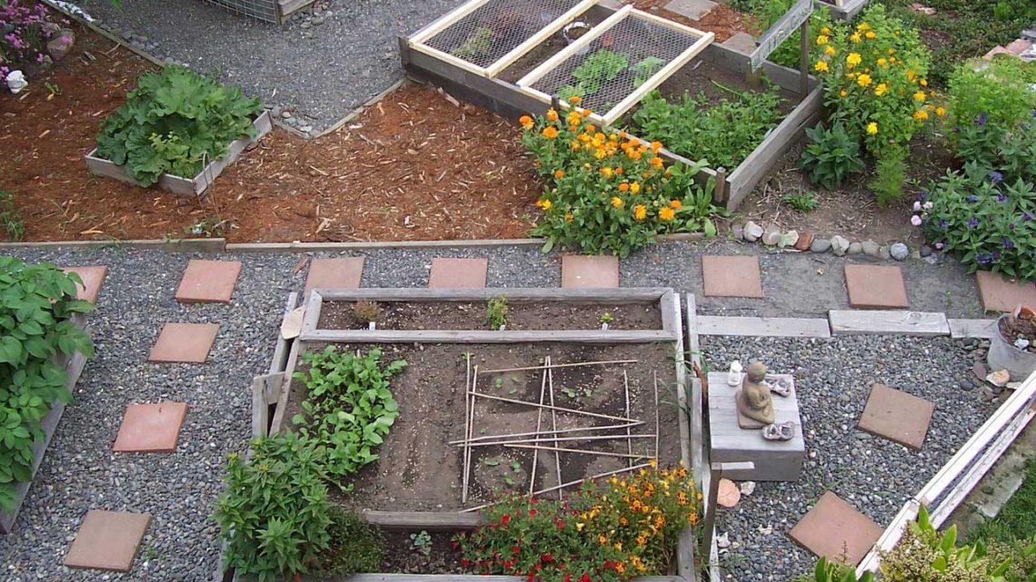 Improving urban metabolism through agriculture