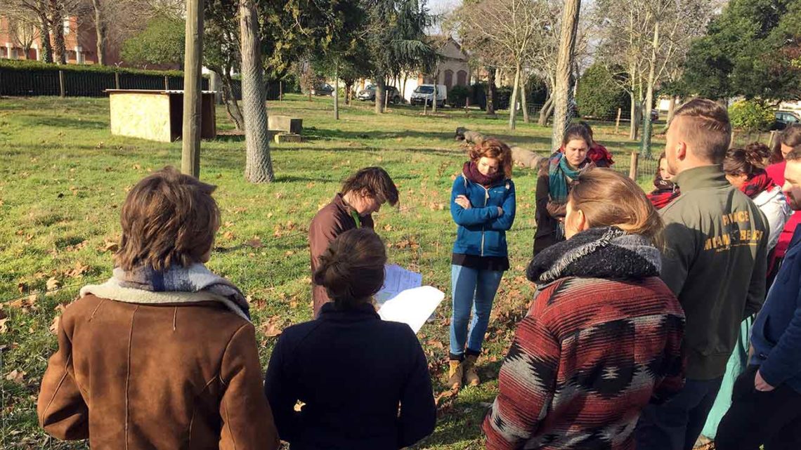 Formation et recherche sur le pâturage urbain Formation et recherche sur le pâturage urbain