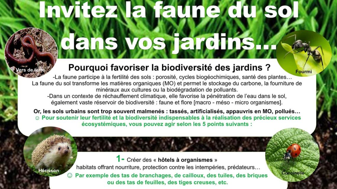 Poster : invitez la faune du sol dans vos jardins…