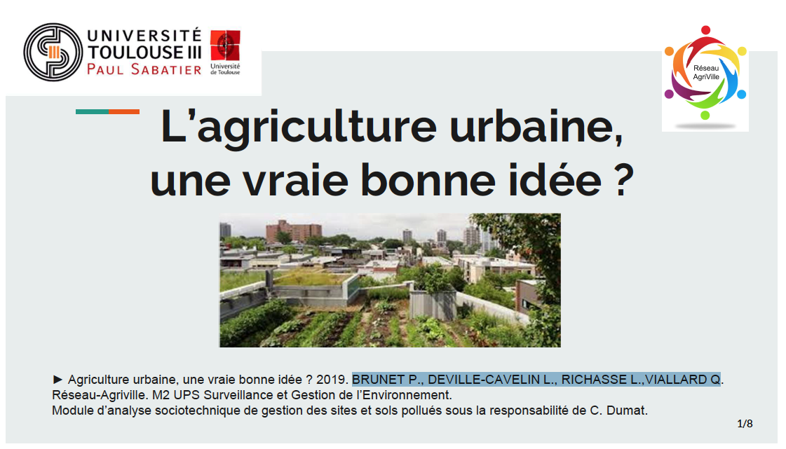 L’agriculture urbaine : une vraie bonne idée ?