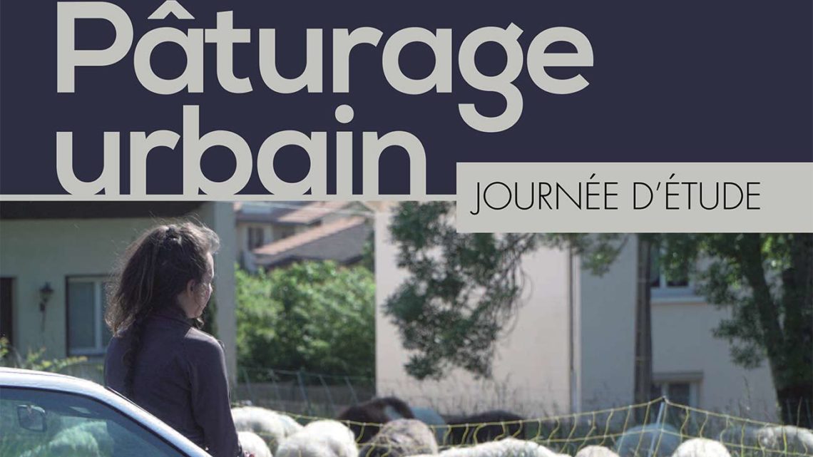 Ne ratez pas la projection du film “Bergère de bitume”, le 24 juin ! Ne ratez pas la projection du film “Bergère de bitume”, le 24 juin !