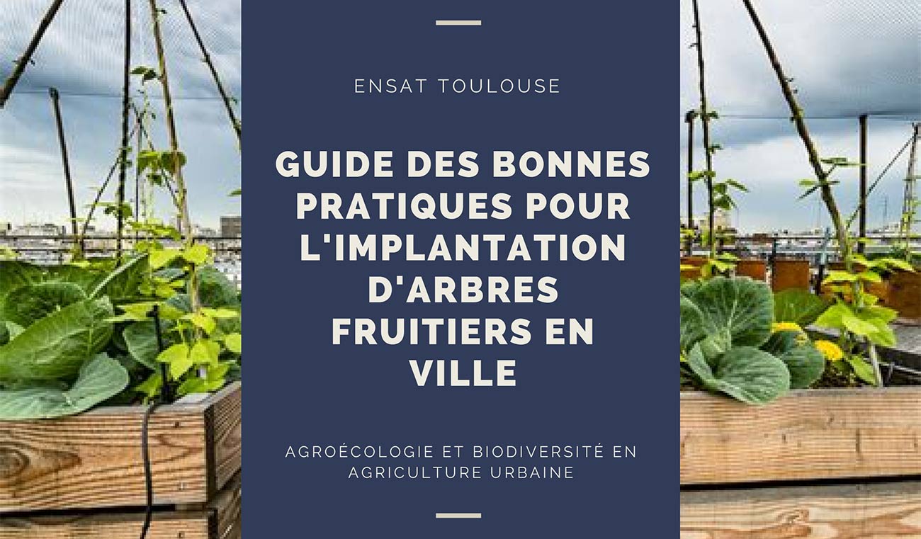 Guide Des Bonnes Pratiques Pour L'implantation D'arbres Fruitiers En Ville