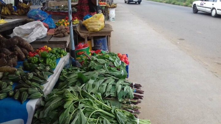 Santé-Environnement : qualité des légumes des marchés à Libreville, Gabon