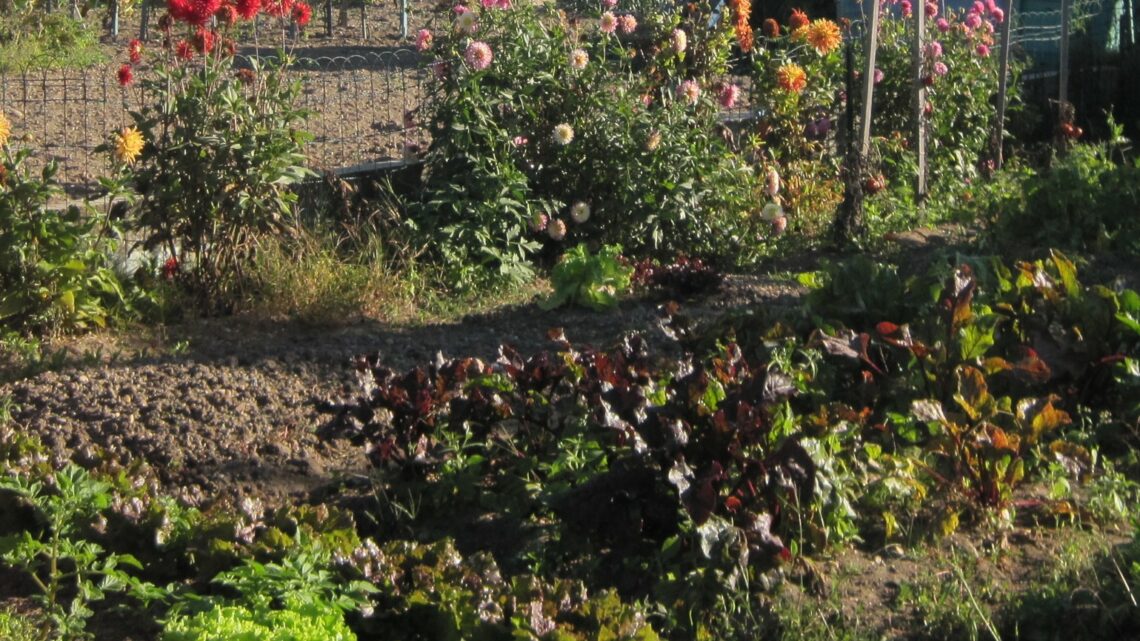 Le SOL (Dumat & Schreck, 2026)